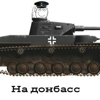 Дамир Бикмухаметов