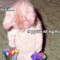 Кирилл Белов
