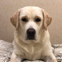 Арсений Мухин