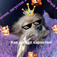 Виктор Сухоруков