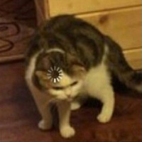 Токтар Сабыр
