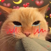 Дима Кот
