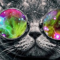 Саша Лащенко