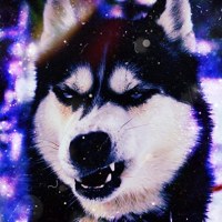 Иван Курский