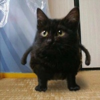 Георгий Мурзикбан'''