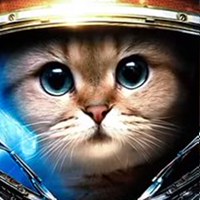 Алексей Плотников