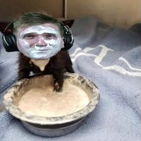Иван Вороненко