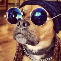 Андрей Бокша