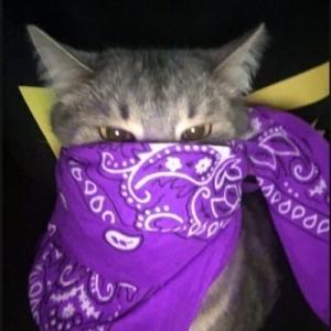 seizz