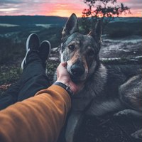 Илья Ищенко