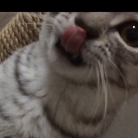 Камиль Садыков