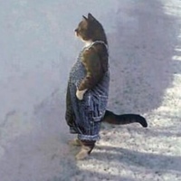 Ваня Субаркин