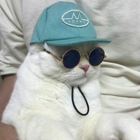 Максим Иванов