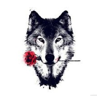 Foxs1k