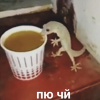 Алексей Мазочин