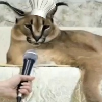 Даниил Бычков