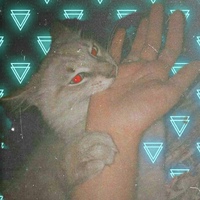 Павел Берсенев