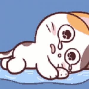1234