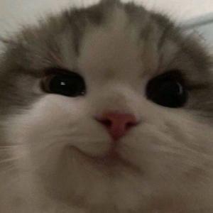 Murrr1_