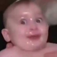Голубь
