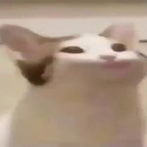 zef0n1x
