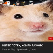 ᵇᵉᵃᵗSʟᴏᴡʟʏ