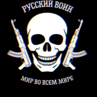 Дима Плугин