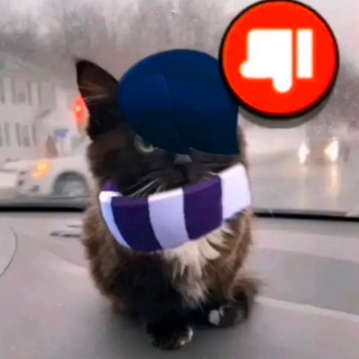 Дамир Козак
