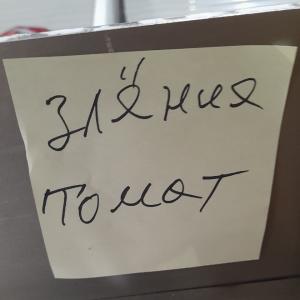 гусли ap