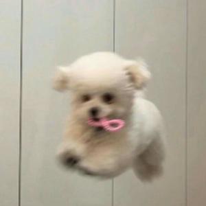 merrka
