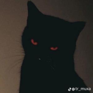 kr.7xz