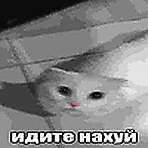 MerkantilnIbIu