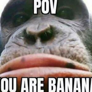 moq