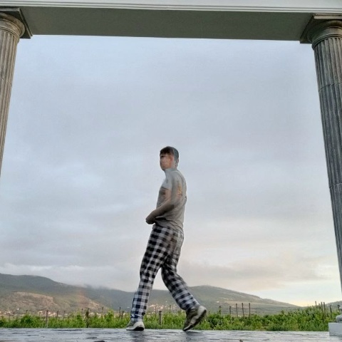 Leha Bladee