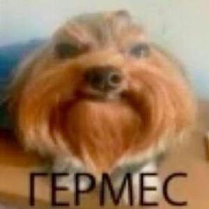чебоксарский серийный маньяк